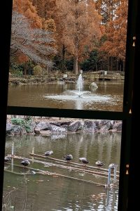 公園の風景